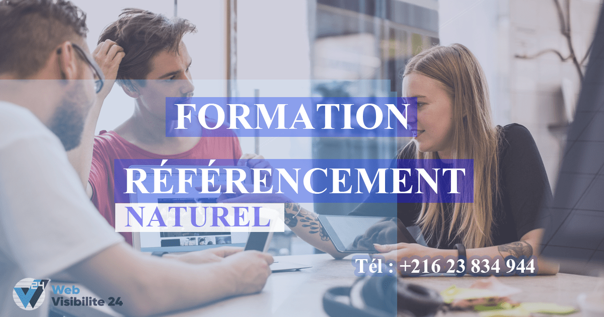 formation référencement seo tunisie